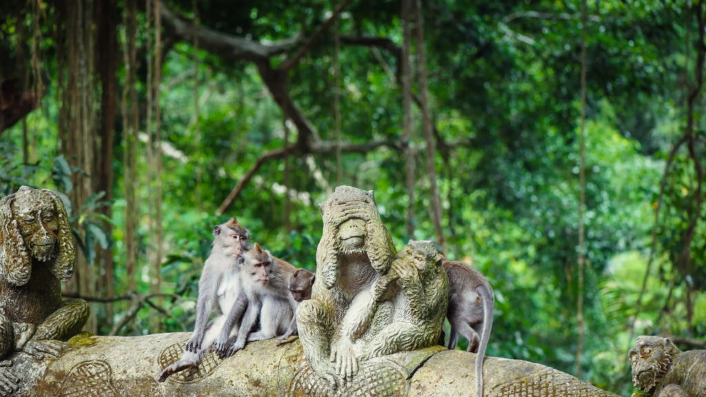 ubud - bali itinerary