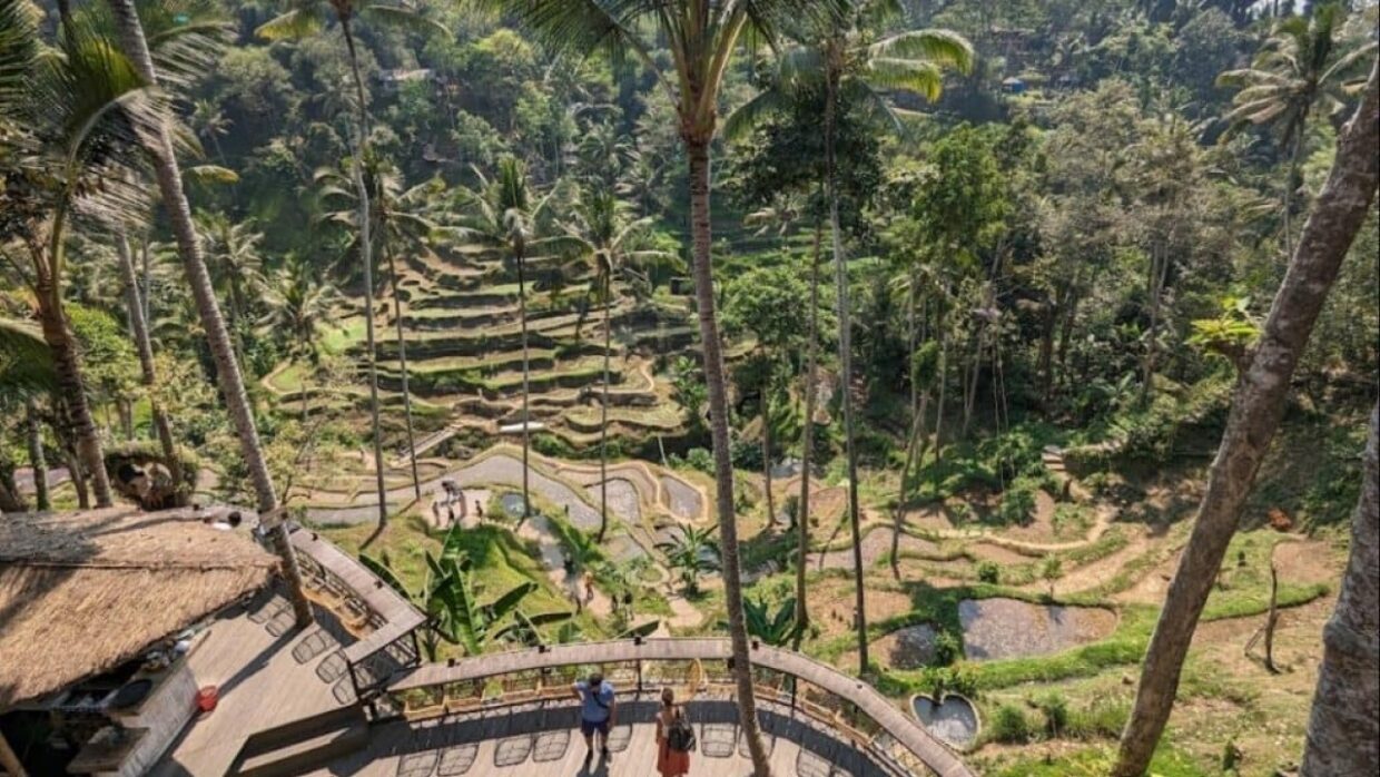 Day 4: Scenic & Spiritual Ubud