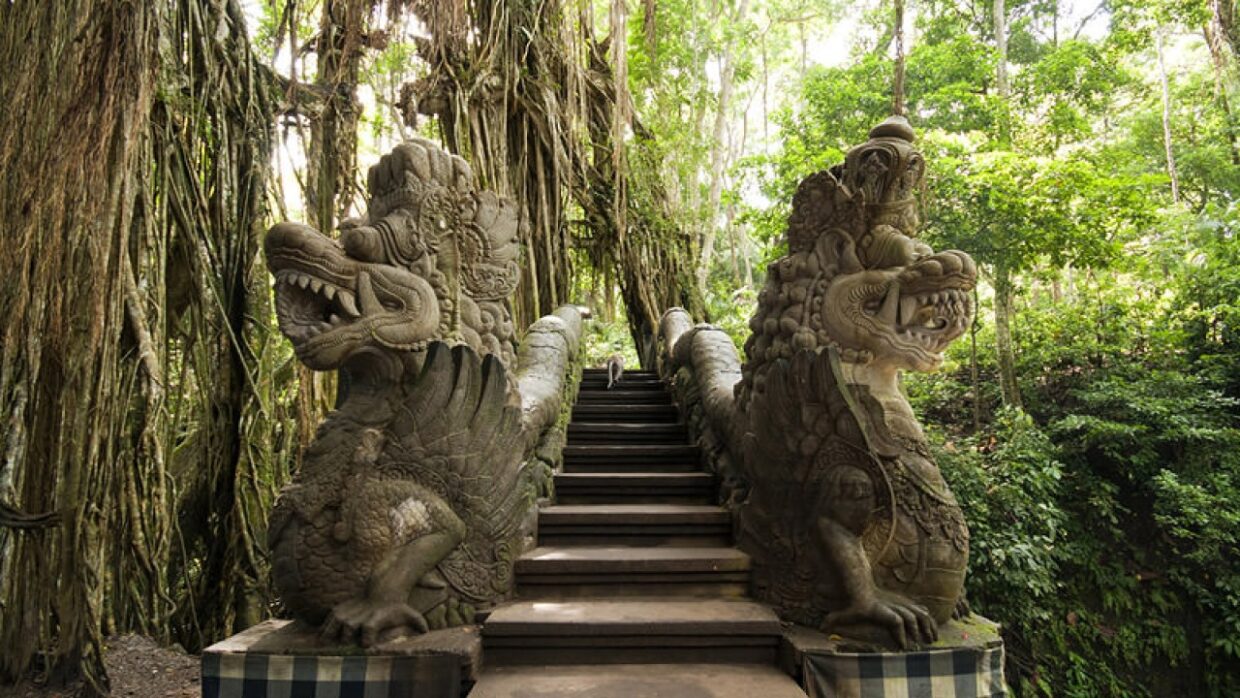 Day 5: Ubud Culture & Wildlife