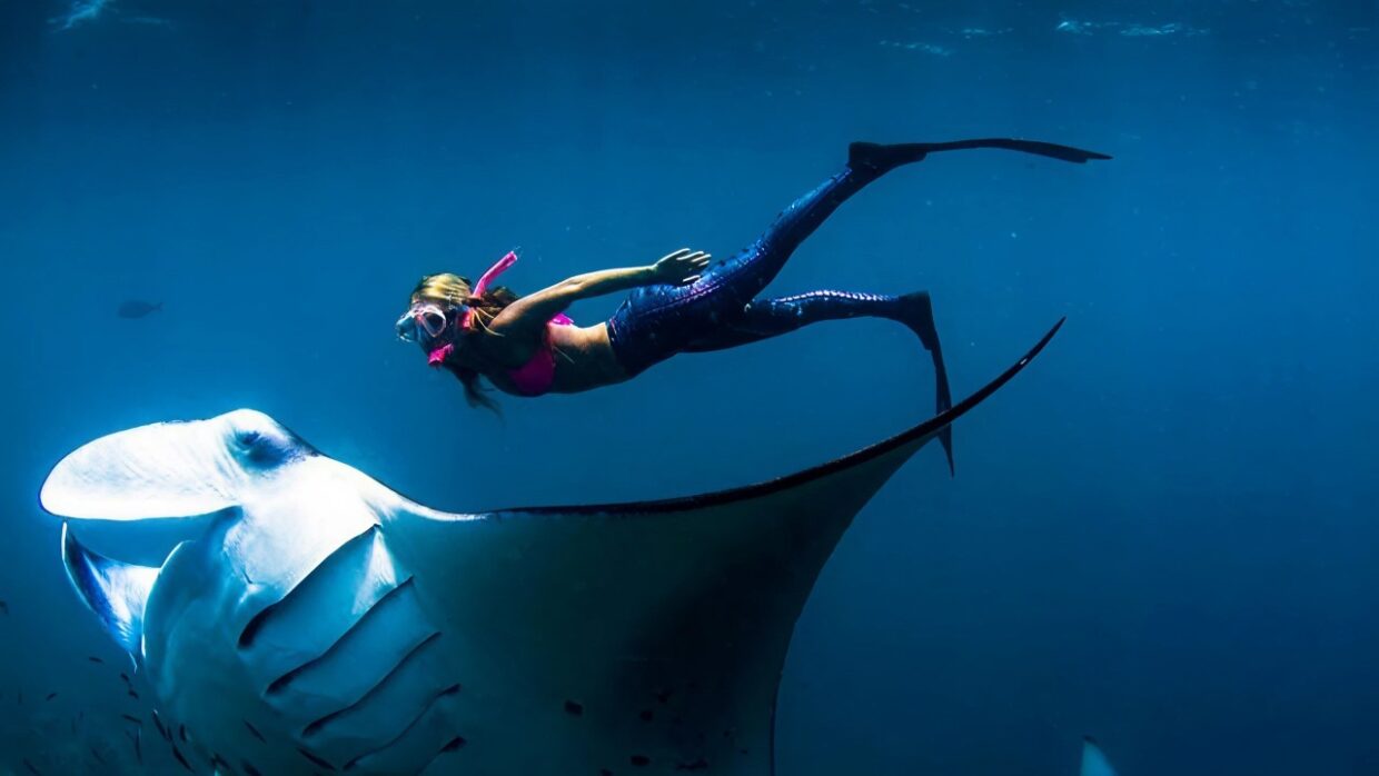 Snorkel with Manta Rays at Manta Point